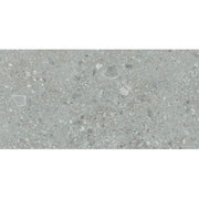 Daltile Assemble 12" x 24" Proxy