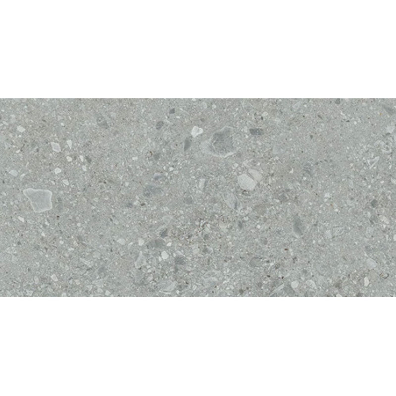 Daltile Assemble 12" x 24" Proxy