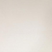 Daltile Pzazz 12" x 24" White Ritz