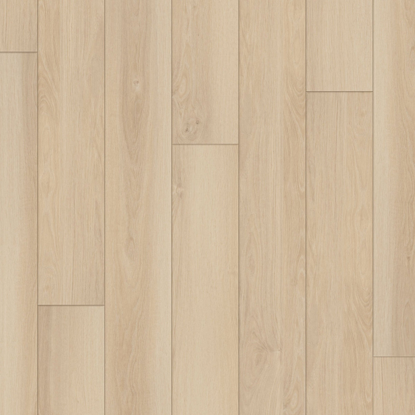 Happy Feet Regency 7" x 59.05" 8mm 20mil Stabilicor Plus (SPC) Sandy Bay