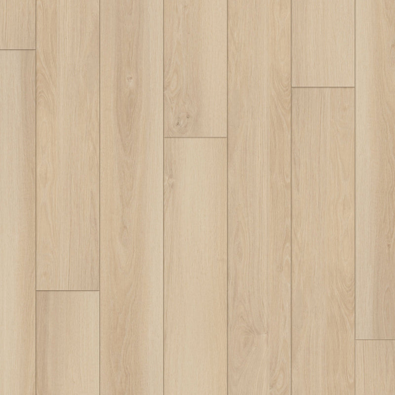 Happy Feet Regency 7" x 59.05" 8mm 20mil Stabilicor Plus (SPC) Sandy Bay