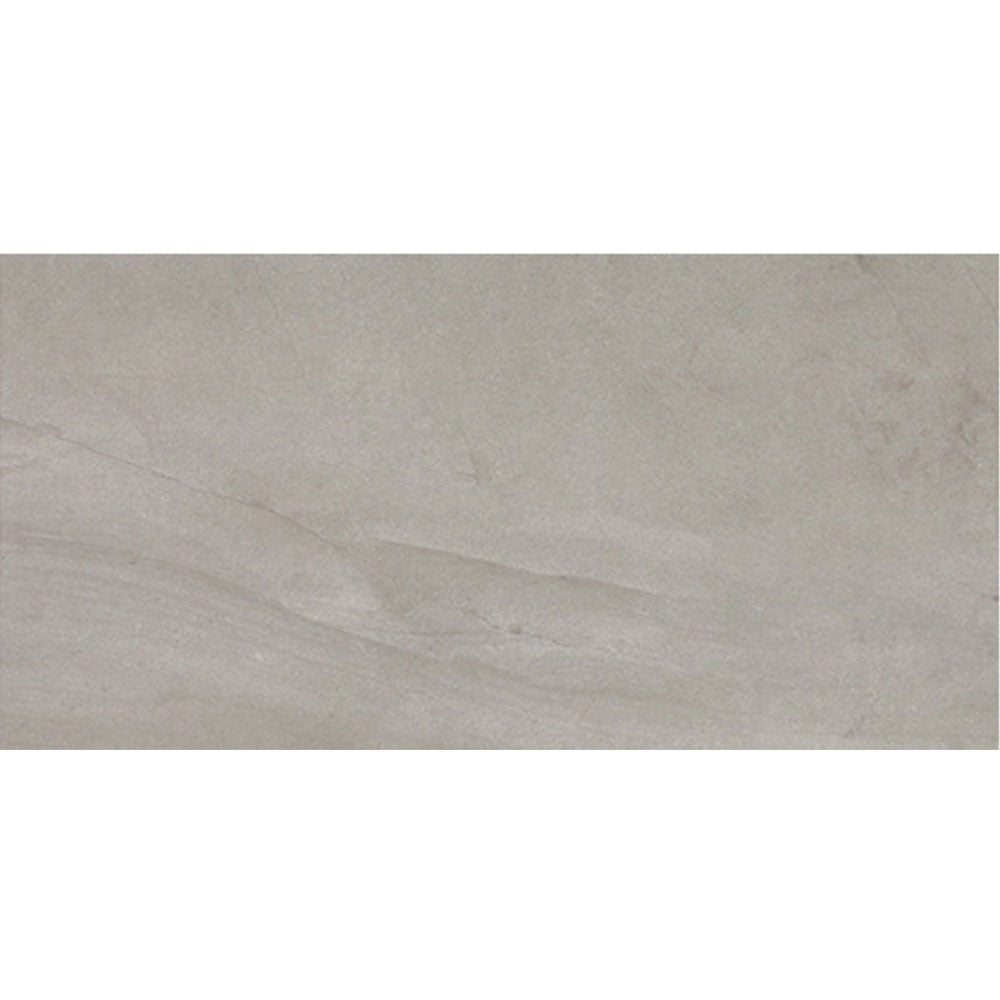 Daltile Wanderwise 12" x 24" Roam