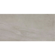 Daltile Wanderwise 12" x 24" Roam