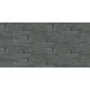 Andhra Black