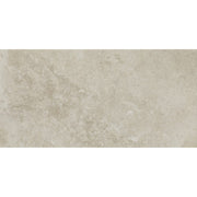 Daltile Scripter 12" x 24" Hero