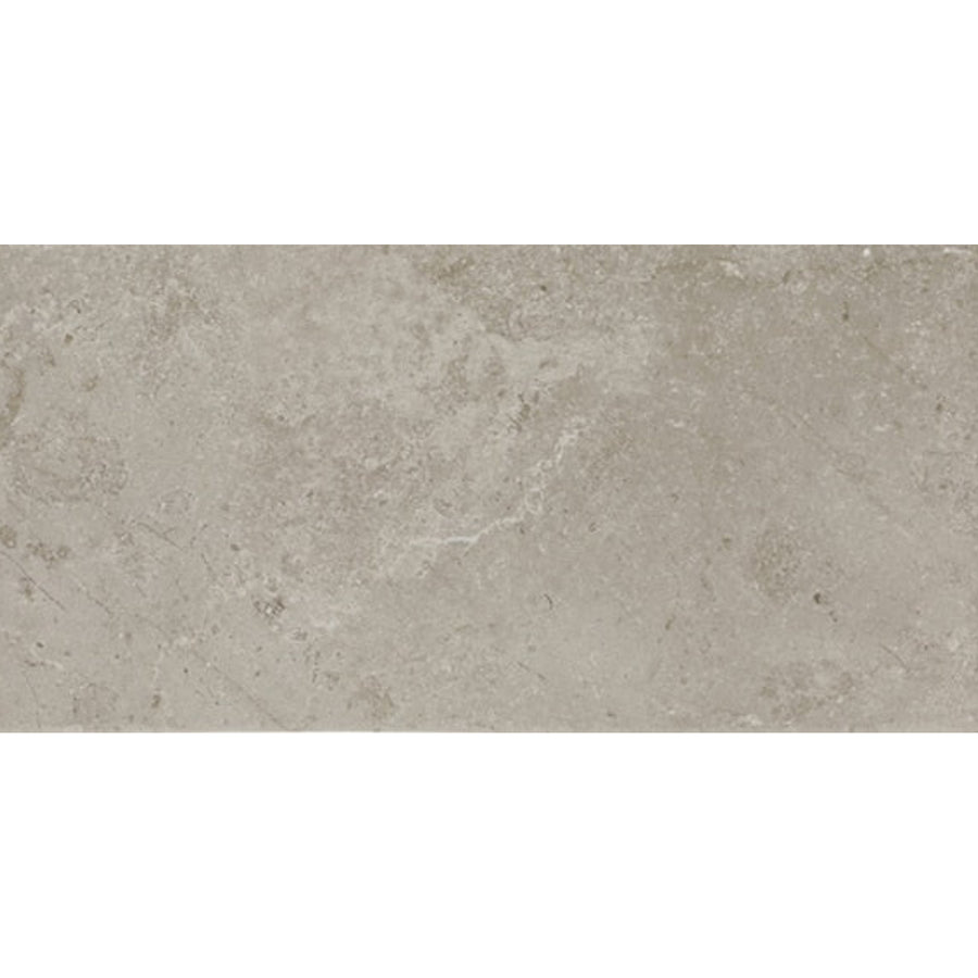Daltile Scripter 12" x 24" Mentor