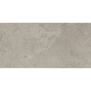 Daltile Scripter 12" x 24" Mentor