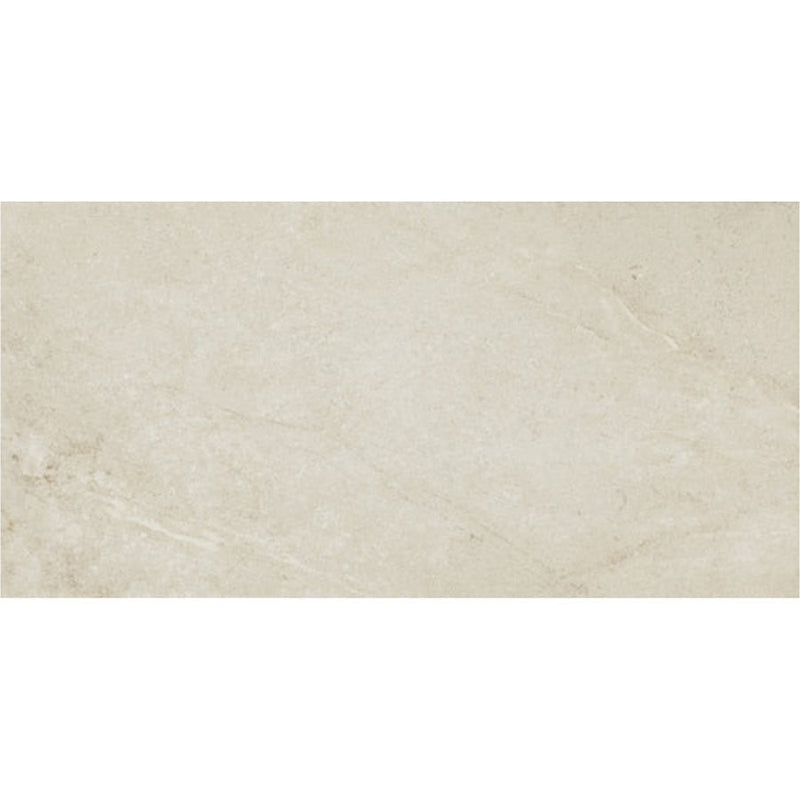 Daltile Scripter 12" x 24" Oracle