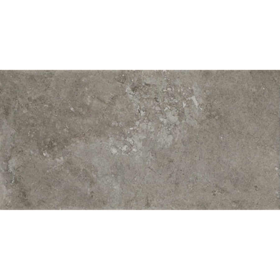 Daltile Scripter 12" x 24" Rebel