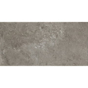 Daltile Scripter 12" x 24" Rebel
