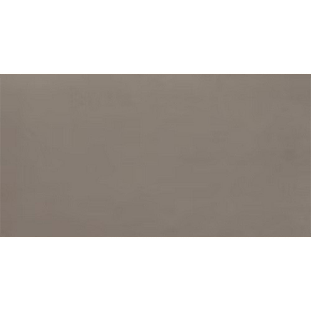 Daltile Fixture 24" x 48" Matte Soil