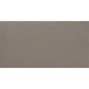 Daltile Fixture 24" x 48" Matte Soil
