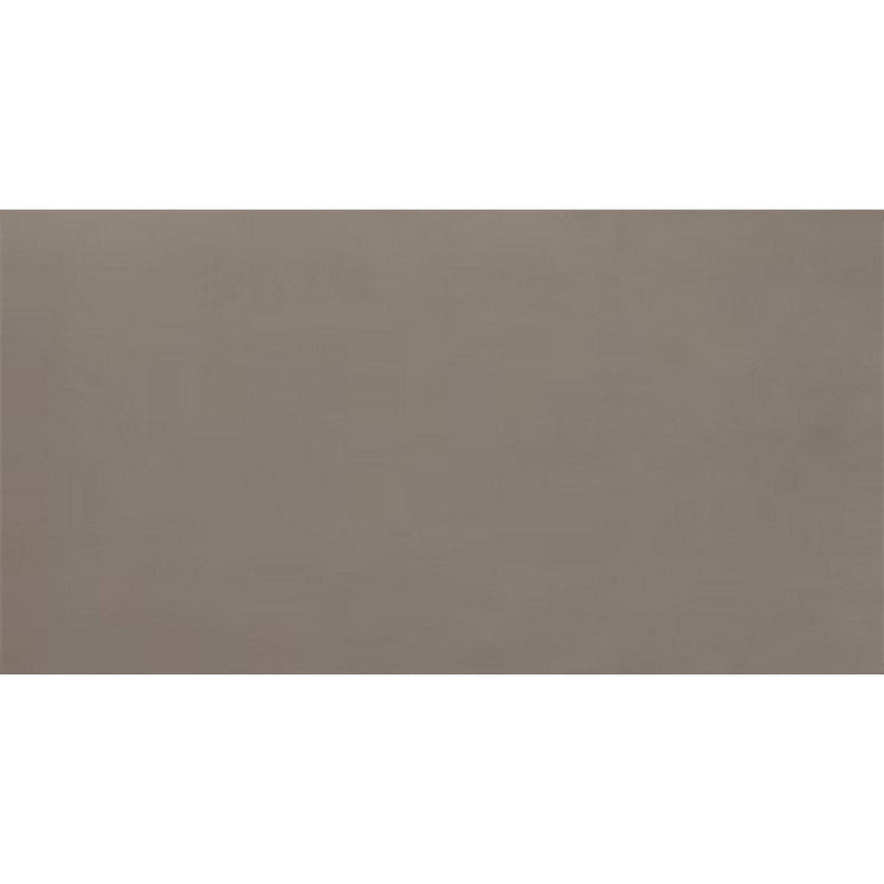 Daltile Fixture 24" x 48" Matte Soil
