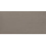 Daltile Fixture 12" x 24" Polished Soil