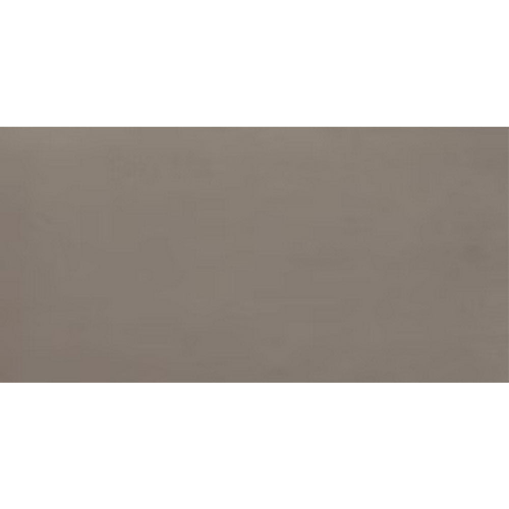 Daltile Fixture 24" x 48" Polished Soil