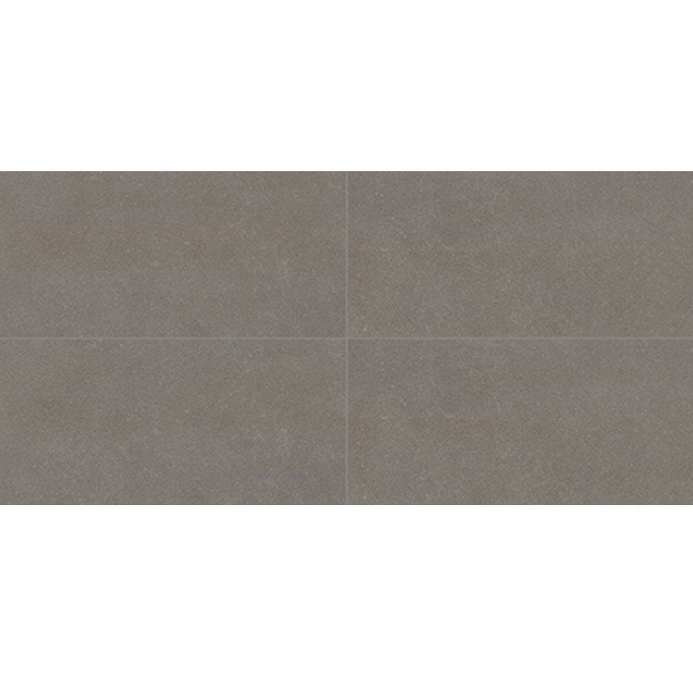 Daltile Astronomy 12" x 24" Solstice
