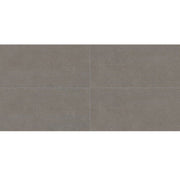 Daltile Astronomy 12" x 24" Solstice