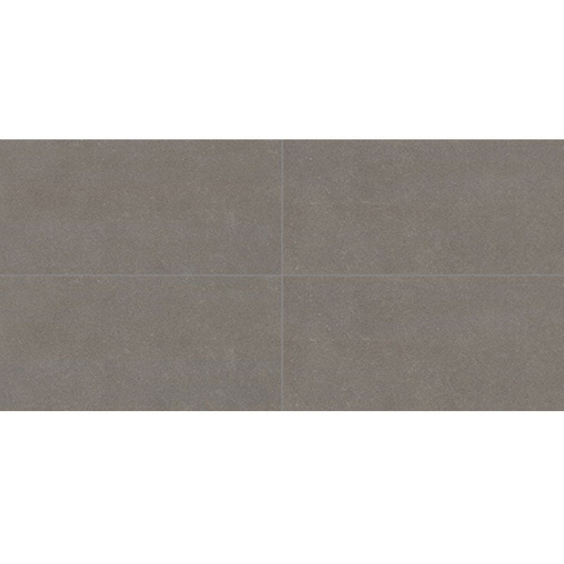 Daltile Astronomy 12" x 24" Solstice