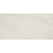 Daltile Wanderwise 12" x 24" Swan