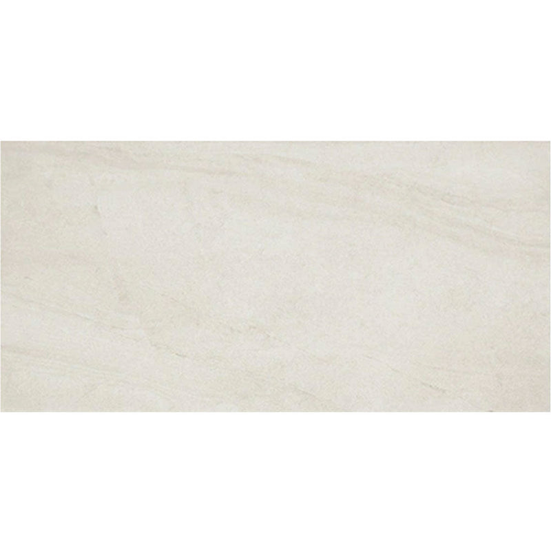 Daltile Wanderwise 12" x 24" Swan