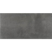 Daltile Emergent 12" x 24" Rectangle Titanium