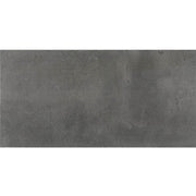 Daltile Emergent 24" x 48" Titanium