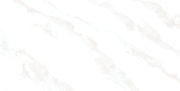 Emser Vara 24"x47" Polished Varzo