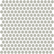 Desert Gray