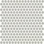 Desert Gray