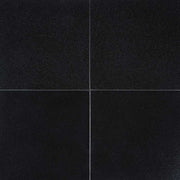 MS International Natural Stone Granite 12" x 12" Polished Absolute India Black