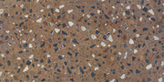 Marazzi Curation 24" x 48" Splatter Polished Clay