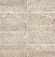 Marazzi Curation 2" x 9" Matte Stucco