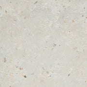 Emser Anvaya  12" x 12" Matte Aster