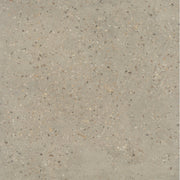 Emser Anvaya  36" x 36" Matte Lotus