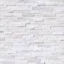 Arctic White