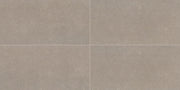 Daltile Astronomy 12" x 24" Orion