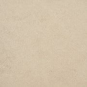 Daltile Advantage 12" x 24" Beige