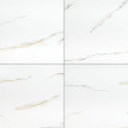 MS International Aria 24" x 24" Polished Bianco