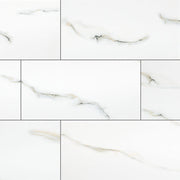 MS International Aria 24" x 48" Polished Bianco