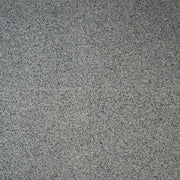 MS International Natural Stone Granite 12" x 12" Polished Bianco Catalina