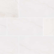 MS International Natural Stone Marble 12" x 24" Polished Bianco Dolomite