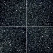 MS International Natural Stone Granite 18" x 18" Polished Black Galaxy