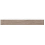 Bleached Elm