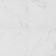 MS International Pietra 24" x 24" Polished Carrara