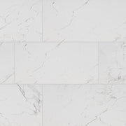 MS International Pietra 12" x 24" Matte Carrara