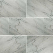 MS International Natural Stone Marble 12" x 24" Honed Carrara White