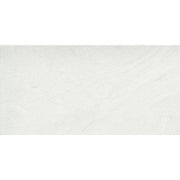 Emser Caru 12" x 24" Matte Colina