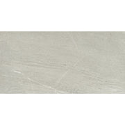 Emser Caru 12" x 24" Matte Rengo
