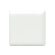Emser Catch 2" x 2" Bullnose Corner Matte Ice