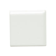 Emser Catch 2" x 2" Bullnose Corner Glossy Ice
